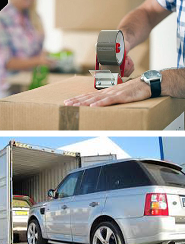 DHL Express Cargo Packers And Movers